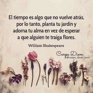 Meet your Posher, Bea